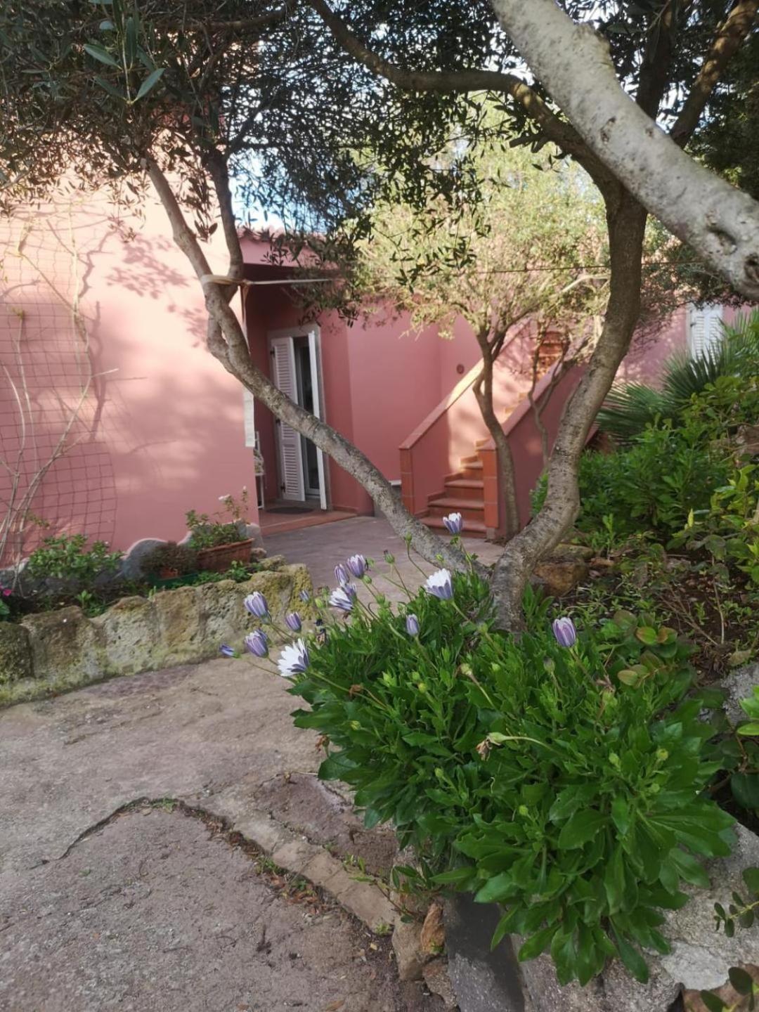 B&B Domus Oriens - Monolocale Indipendente In Villa بورتوسكوسو المظهر الخارجي الصورة