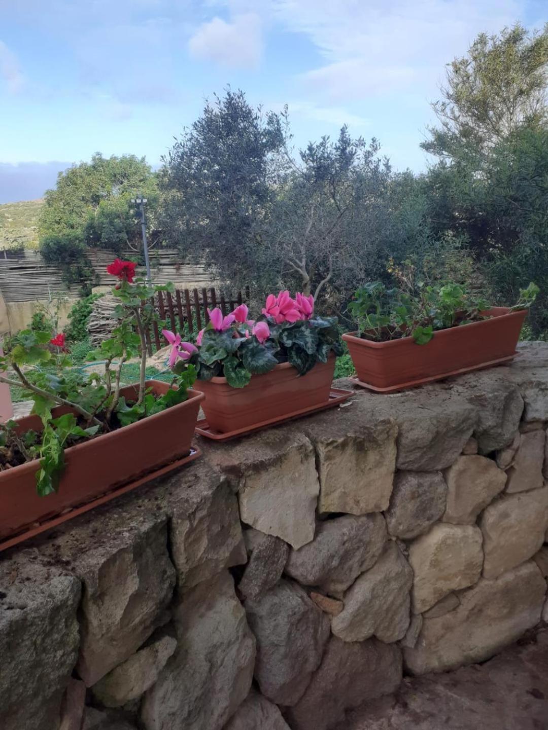 B&B Domus Oriens - Monolocale Indipendente In Villa بورتوسكوسو المظهر الخارجي الصورة