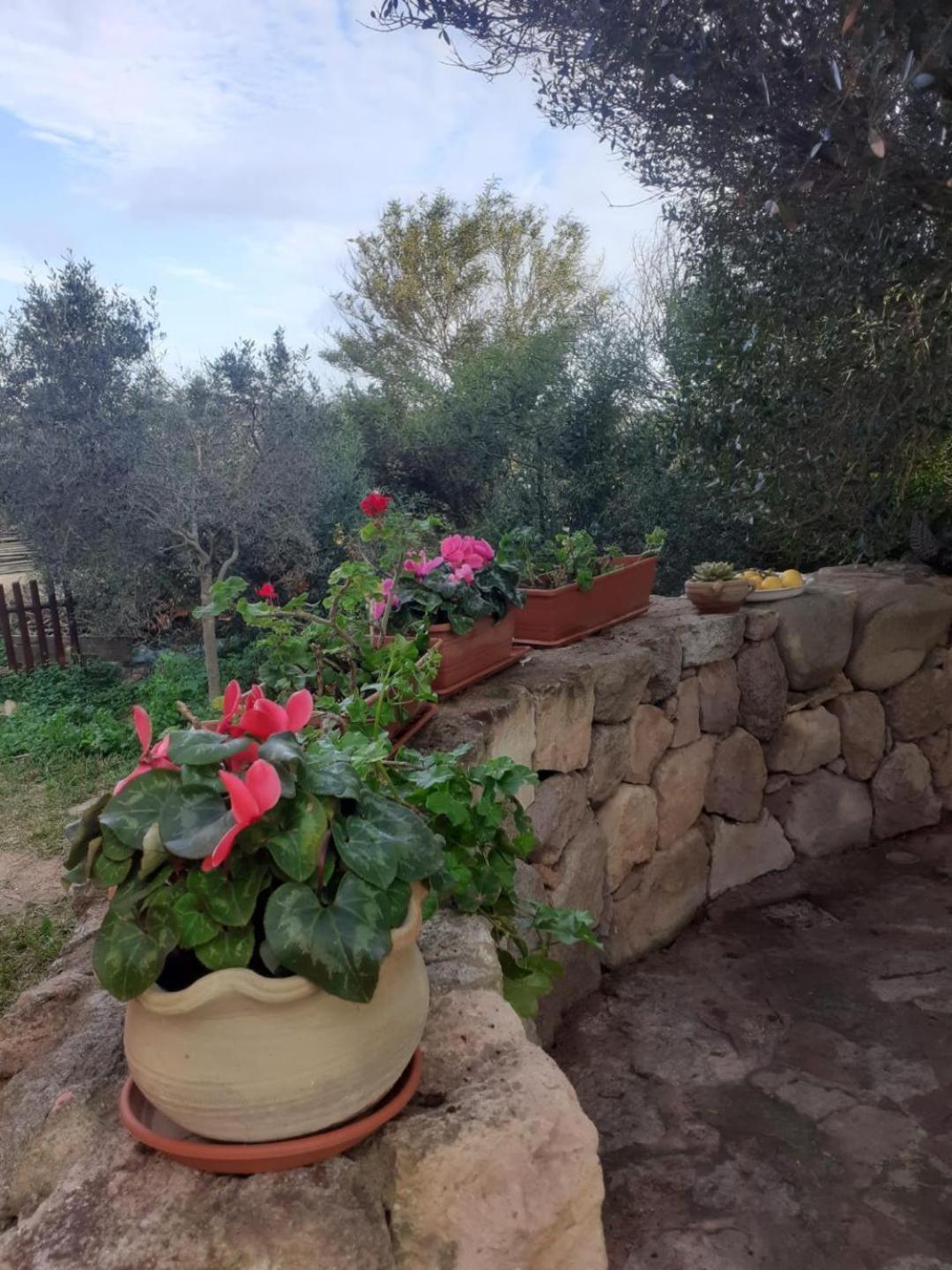 B&B Domus Oriens - Monolocale Indipendente In Villa بورتوسكوسو المظهر الخارجي الصورة